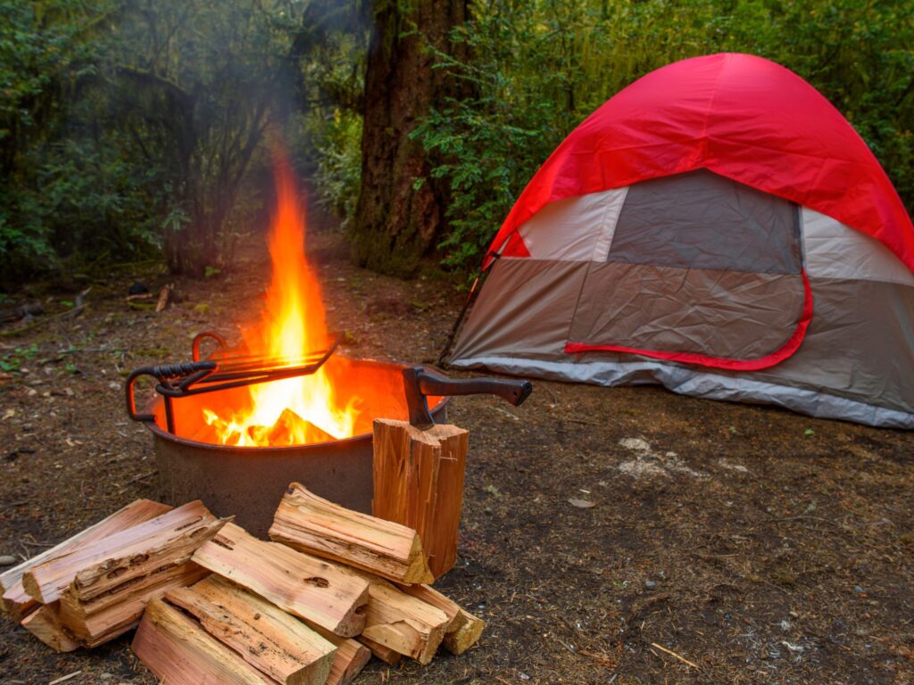 Terrains de camping sauvage